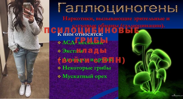хмурый Мензелинск