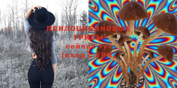 стаф Лагань