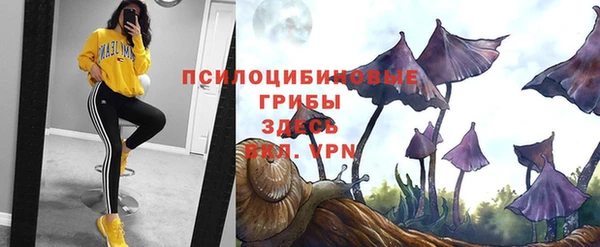 МДПВ Лабытнанги