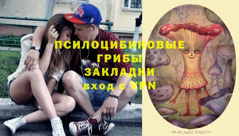 Галлюциногенные грибы Psilocybe  Скопин 