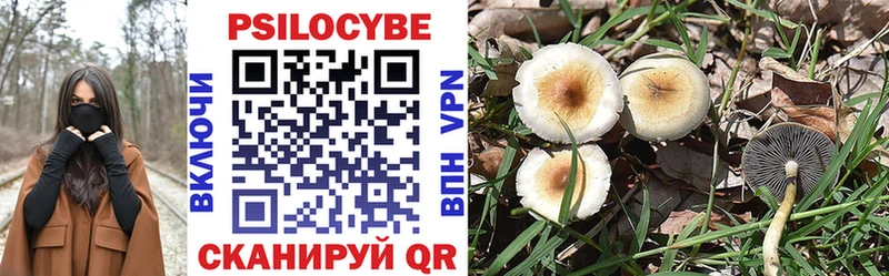 Галлюциногенные грибы MAGIC MUSHROOMS  что такое   Скопин 