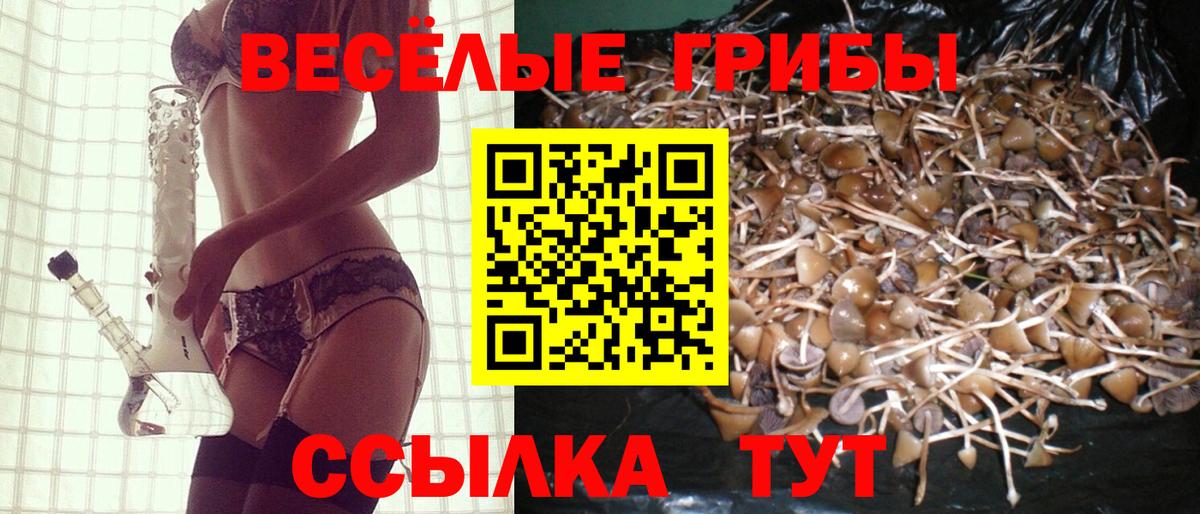 Псилоцибиновые грибы GOLDEN TEACHER  Вход с VPN  Скопин  Галлюциногенные грибы Psilocybe 